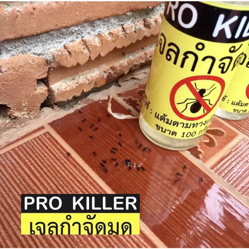 เจลกำจัดมด 50 กรัม PRO KILLER เจ้าของแบรนด์ รูปที่ 2