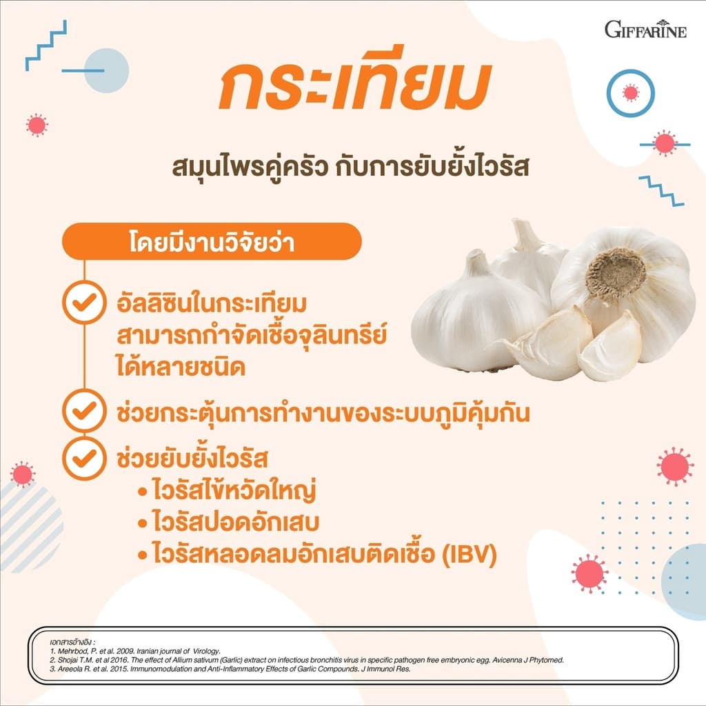 กระเทียมสกัด กระเทียมกิฟฟารีน ชนิดแคปซูล กระเทียม Garlic Garlicine Giffarine สารสกัดจากกระเทียม บรืสุทธิ์ รูปที่ 4
