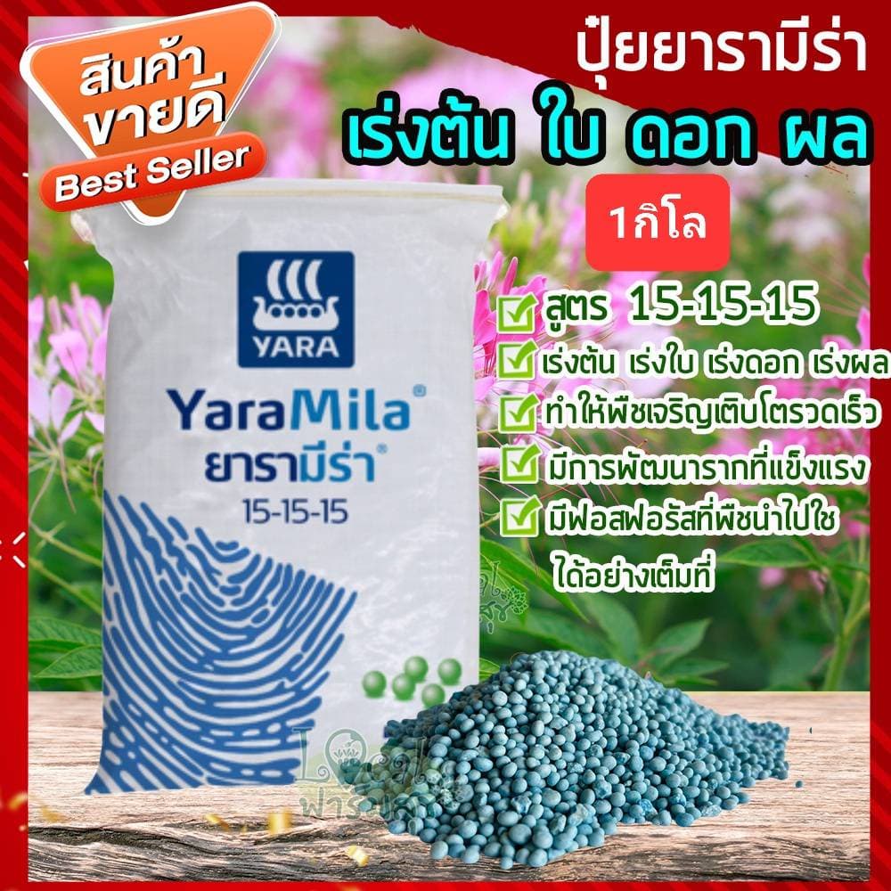 ปุ๋ยสูตร 15-15-15 ยารามีร่า 1 กก. เร่งต้น เร่งใบ เร่งดอก เร่งผล สูตรเสมอ ปุ๋ยใส่ทางดิน NPK รูปที่ 1