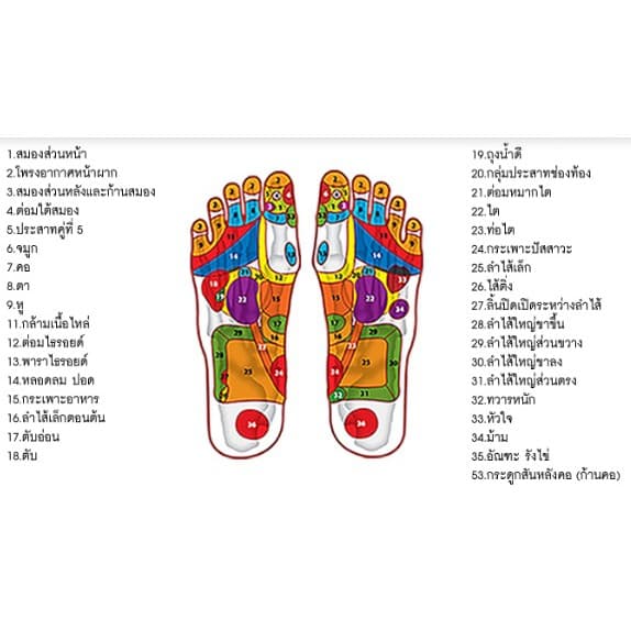 ที่นวดรูปฝ่าเท้า ที่นวดสปริงฝ่าเท้า คลายเส้น แก้ปวดเมื่อย ไม้นวดเพื่อสุขภาพ 25x27x9 CM. รูปที่ 8