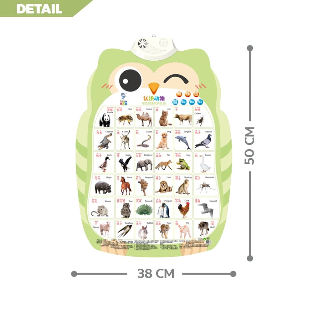 ERORO โปสเตอร์นกฮูกพูดได้ 1-3ภาษา กดมีเสียง สำหรับเรียนรู้คำศัพท์ภาษาจีน ภาษาอังกฤษ รูปที่ 2