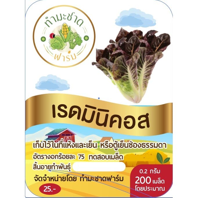 ทำมะชาดฟาร์ม เมล็ดพันธุ์ เรดมินิคอส ขนาด0.2กรัม ประมาณ200เมล็ด RED MINICOS ROMAINE LETTUCE เบบี้คอส รูปที่ 2