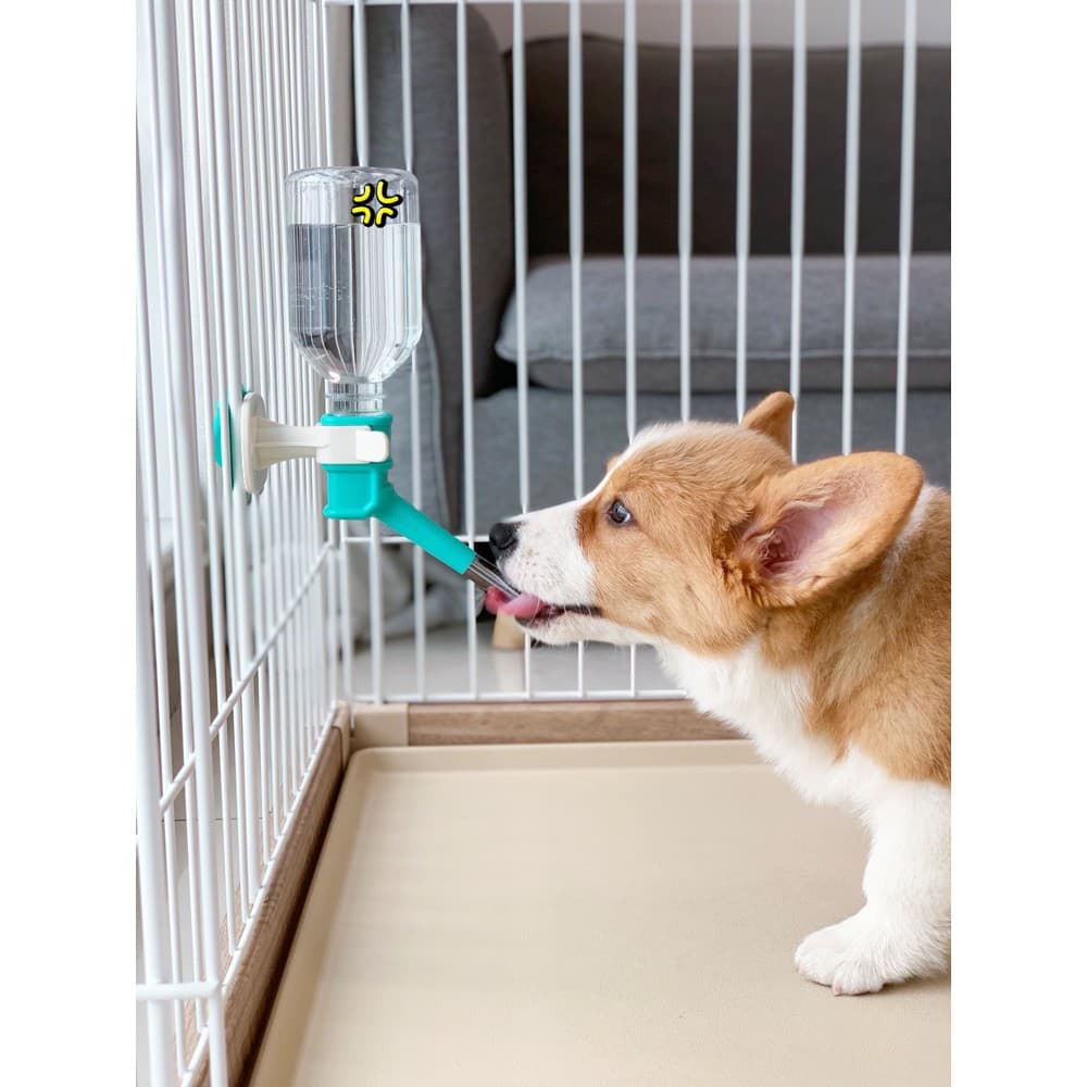 Boqi factory Pet Water Feeder ที่ให้น้ำแบบแขวนกรง เพียงหมุนขวดน้ำเข้าเกลียว สำหรับสุนัขและแมว GJ-02 รูปที่ 3