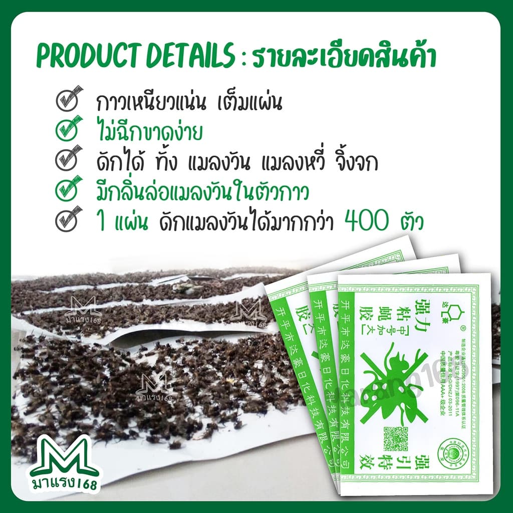 กาวดักแมลงวัน ยกลัง รุ่นกระดาษ แพ็ค ขายดี! รูปที่ 8
