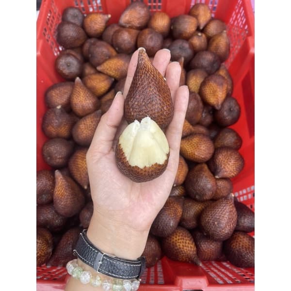#สละอินโดนิเซีย นำเข้าแท้ 100% อร่อยเกินต้าน ราคาเบาๆ สั่งเลย‼ รูปที่ 3