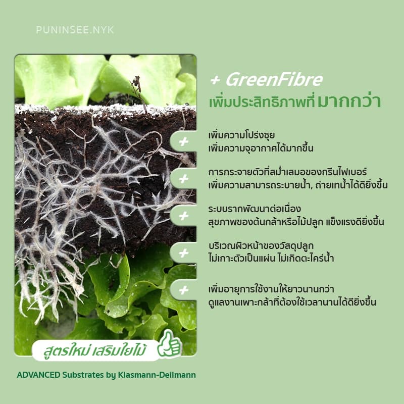 พีทมอส วัสดุเพาะเมล็ด ต้นกล้า ชำกิ่ง รากเดินดี Potgrond H by Klasmann คลาสแมน ปันอินทรีย์ รูปที่ 5