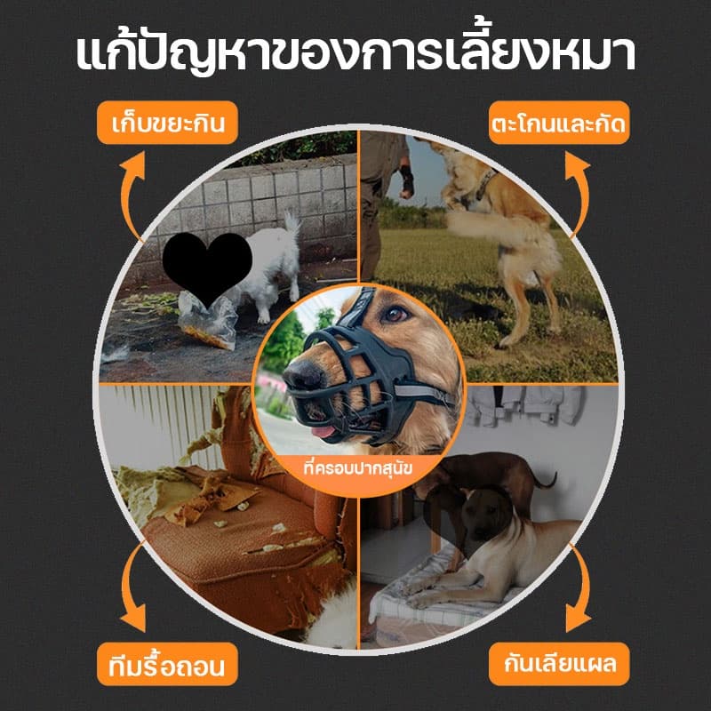 ตะกร้อปากสุนัข Zepet ตะกร้อครอบปาก ป้องกันการกัดเห่า ที่ครอบปากสุนัข น้องหมาดื่มน้ำได้ ตะกร้อสุนัข ตระกร้อครอบปากสุนัข รูปที่ 5