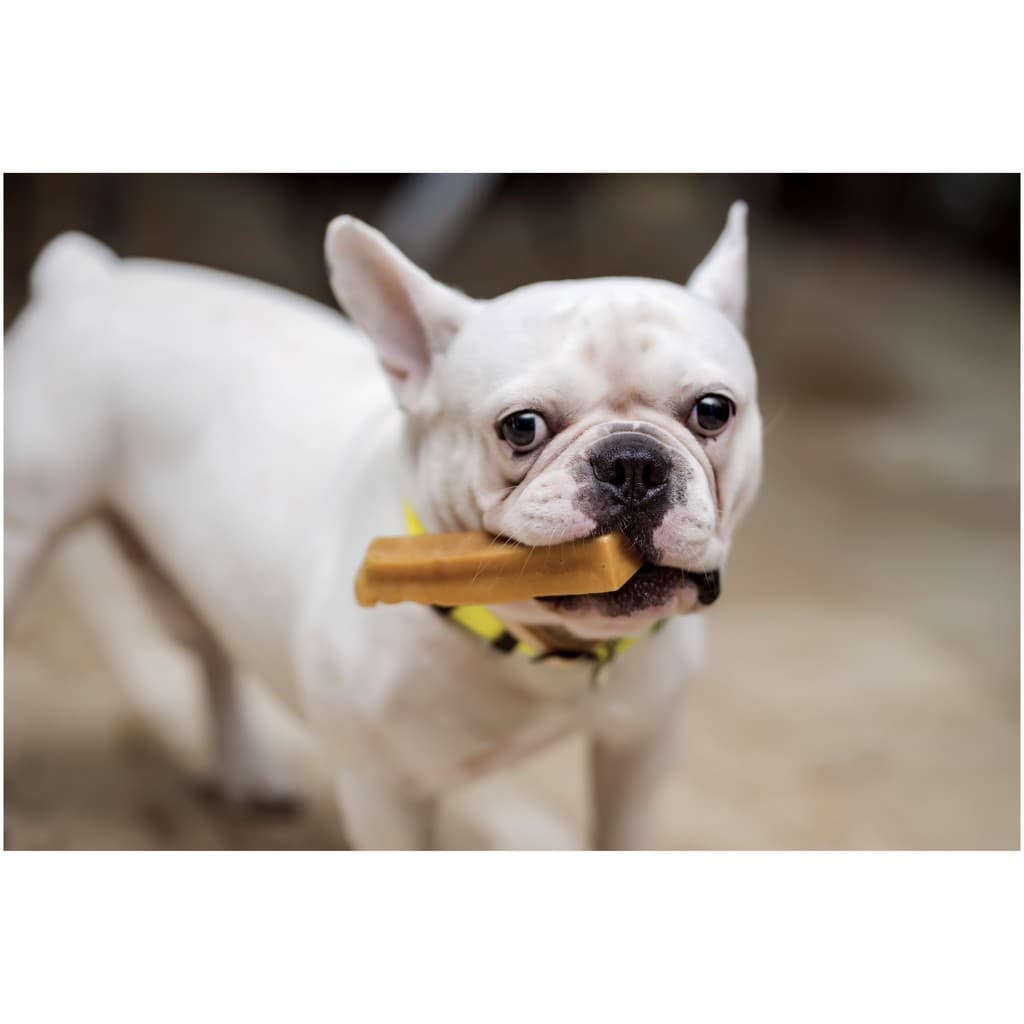 ชีสแท่งนมจามรี ไซส์ M+ /Himalayan Dog Chew Large Size รูปที่ 5