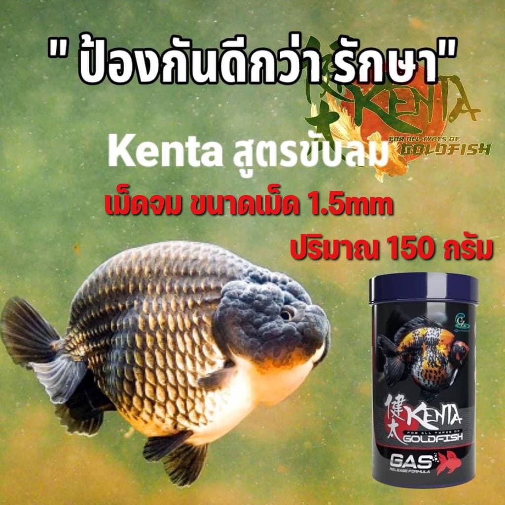 Set สุดคุ้มอาหารปลาทอง Kenta สูตรเร่งโต ท้องไม่อืด และขับลม แก้ปลายหงายท้อง รูปที่ 4