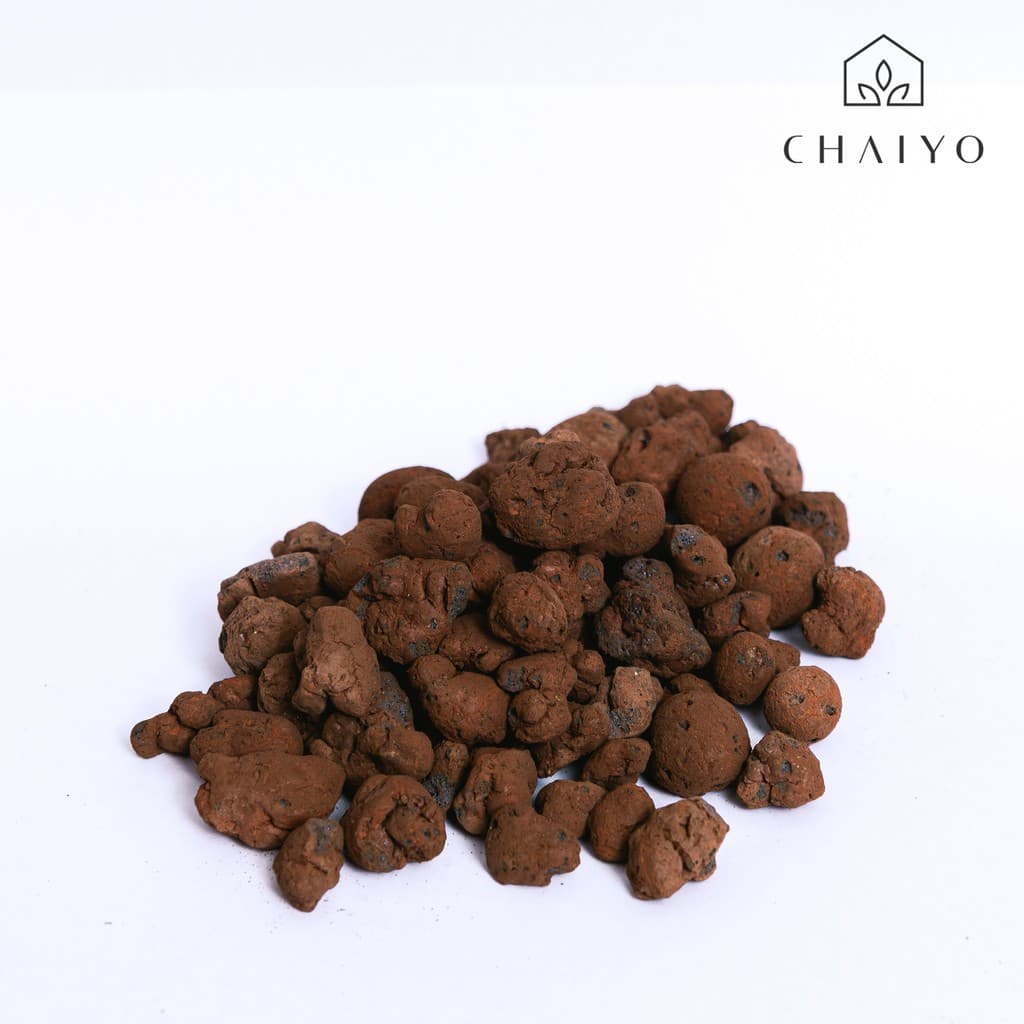 เม็ดดินเผาแบ่งขาย 1 ลิตร Hydro Granules Van Egmond รูปที่ 6