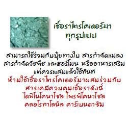 ไตรโคเดอร์มาชนิดน้ำ 250 มิลลิลิตร สูตรเข้มข้น1 ม.เกษตร แท้ ช่วยควบคุมและป้องกันโรคพืชที่เกิดจากเชื้อรา มีรับประกัน รูปที่ 3