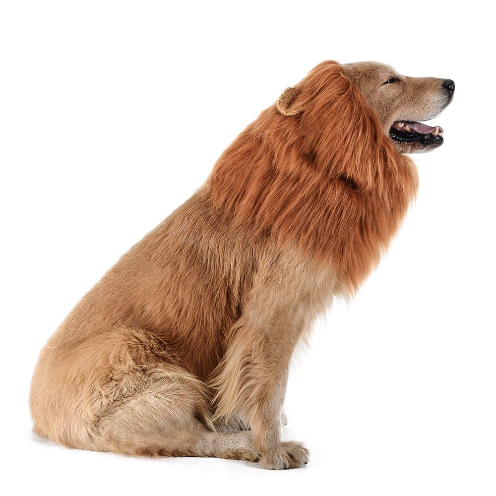 วิกผมสัตว์เลี้ยง วิกผมหมา ทรงแผงคอสิงโต สำหรับสุนัข Cat wig dog wig รูปที่ 3
