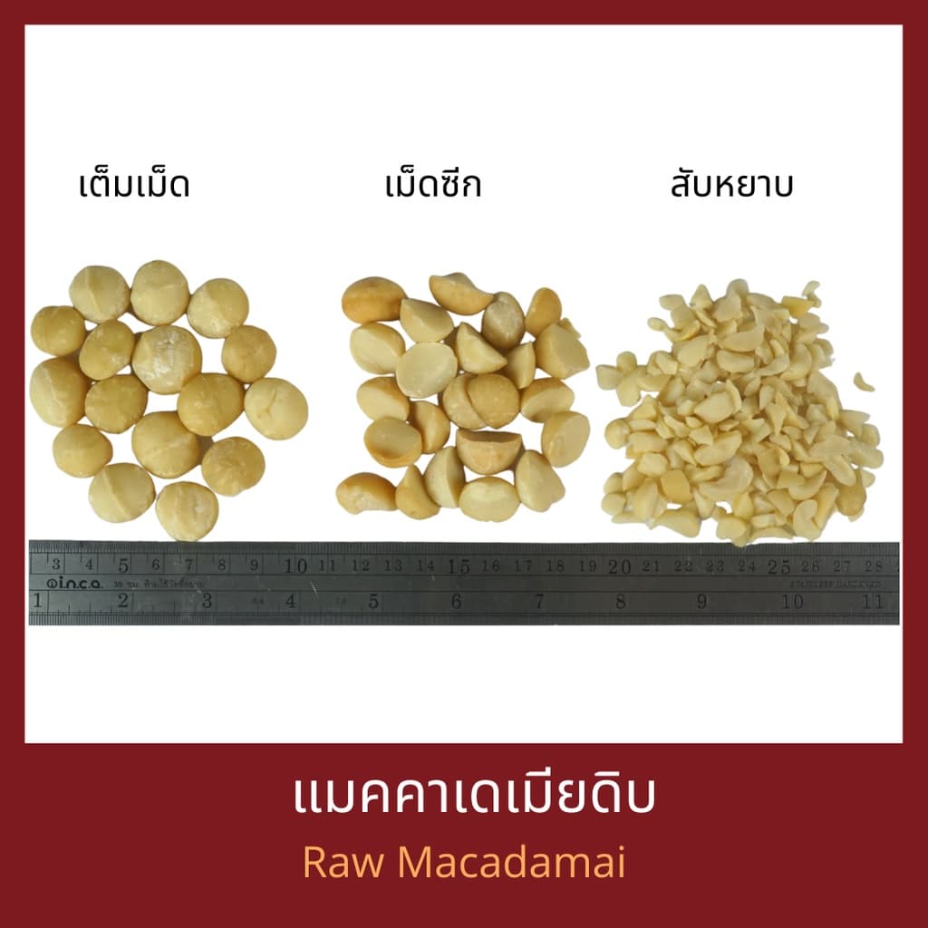 แมคคาเดเมียดิบ Raw Macadamia รูปที่ 2