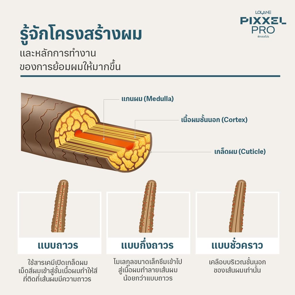 โลแลน พิกเซลโปร แฮร์ คัลเลอร์ เปอร์ออกไซด์ 1000 มล. Lolane Pixxel Pro Hair Color Peroxide 1000ml. รูปที่ 8