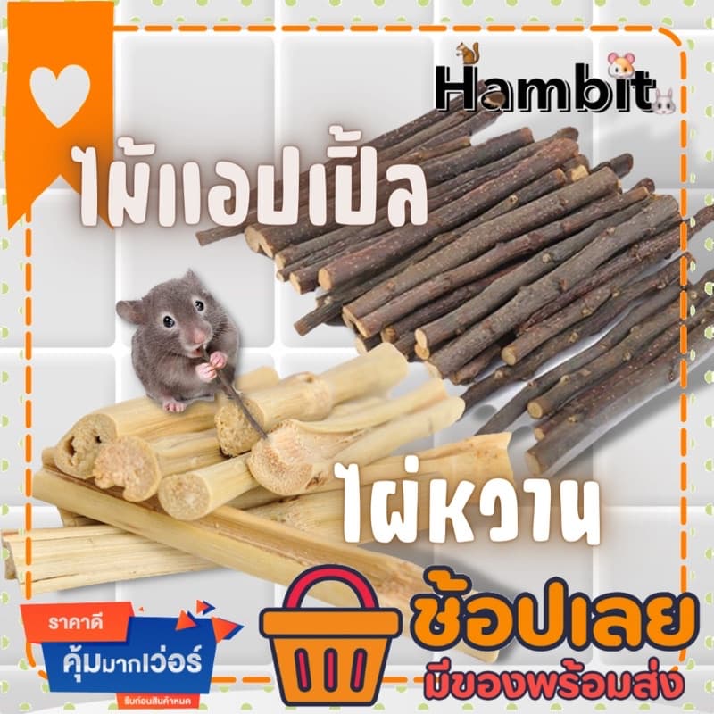 Hambit. ไผ่หวาน Sweet bamboo ไม้แอปเปิ้ล apple stick ลับฟัน ขัดฟันแฮมสเตอร์ ขัดฟันกระต่าย ขัดฟันแพรี่ด๊อก ขัดฟันหนู รูปที่ 1