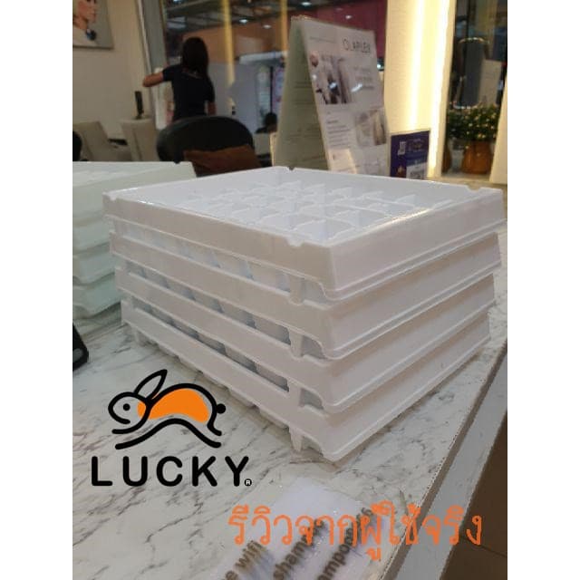 LUCKY HOME ถาดทำน้ำแข็ง 35 ช่อง K-035 ขนาด: 20 x 25.2 x 3.8 cm รูปที่ 5