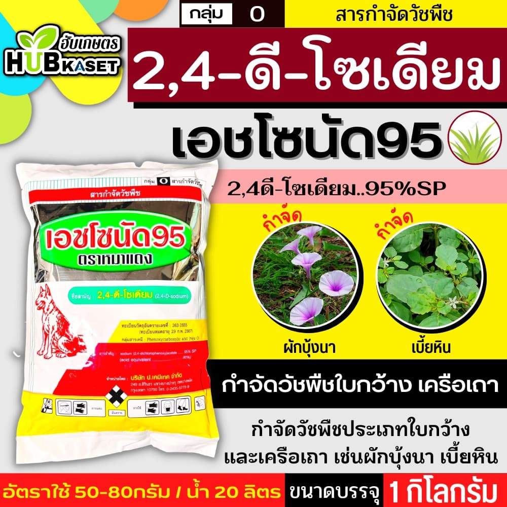 เอชโซนัด95 ตราหมาแดง 1กิโลกรัม กำจัดหญ้าใบกว้าง และกกต่างๆ รูปที่ 3
