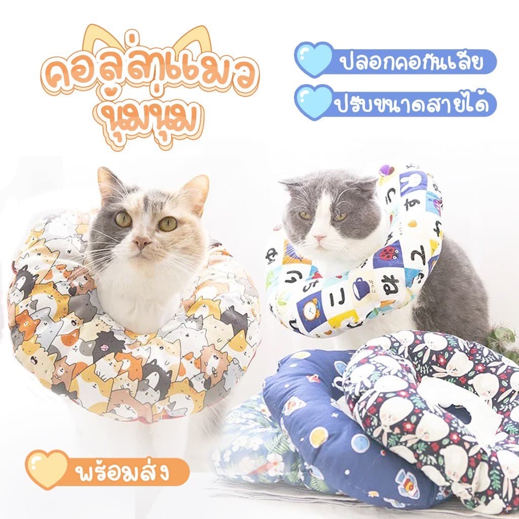 คอลล่าผ้า#คอลล่าน่ารัก#คอลล่าผ้ากันน้ำ#คอลล่าสไตล์ญี่ปุ่น#กันเลียกันกัด#กันเลียน้องแมว#กันเลียน้องแมว รูปที่ 1