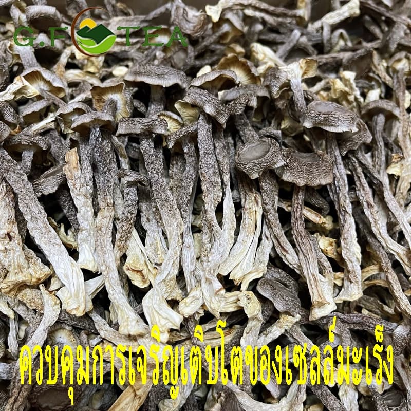เห็ดกำมะหยี่แห้ง อบแห้ง100% เกรดซูเปอร์ 特级 鹿茸菇 鲜香味十足 รูปที่ 3