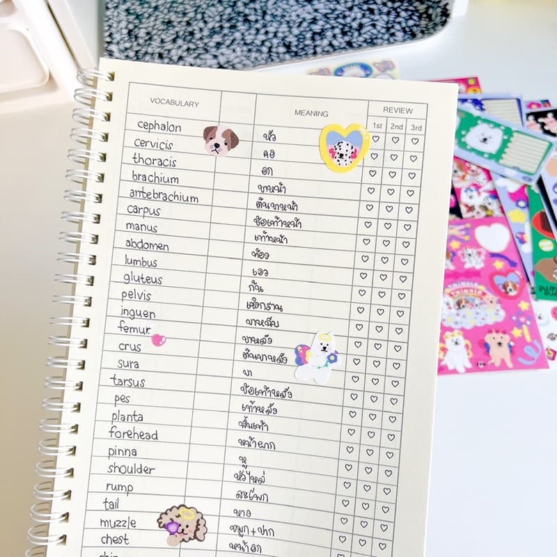 [สันขดลวด] vocabulary v.2 | สมุดจดศัพท์ จดได้ 3000+ คำ ✏️