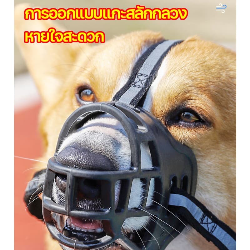 ตะกร้อปากสุนัข Zepet ตะกร้อครอบปาก ป้องกันการกัดเห่า ที่ครอบปากสุนัข น้องหมาดื่มน้ำได้ ตะกร้อสุนัข ตระกร้อครอบปากสุนัข รูปที่ 7
