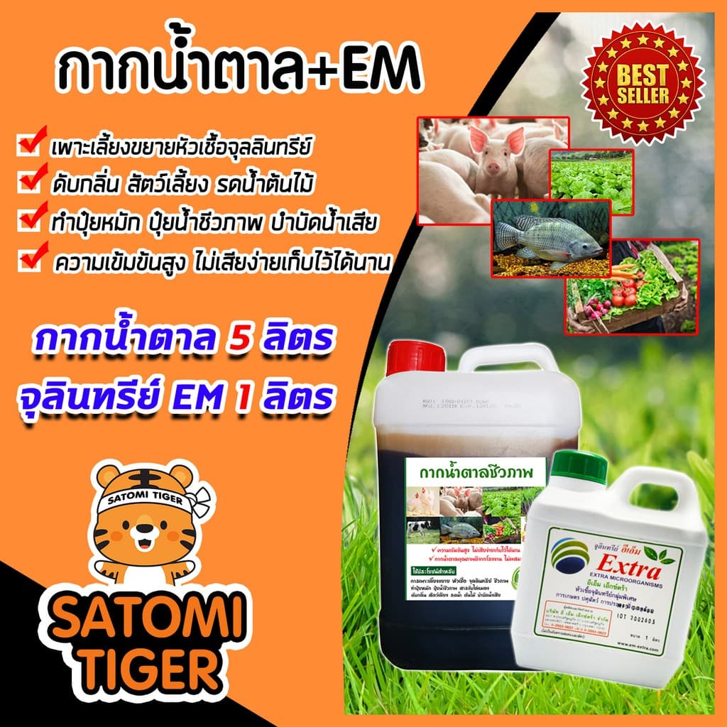 กากน้ำตาล 5 ลิตร 7 กิโลกรัม + จุลินทรีย์ EM 1 ลิตร ทำน้ำหมัก หมักปุ๋ย ผสมอาหารสัตว์ บำบัดน้ำเสีย สินค้าดี มีคุณภาพ รูปที่ 1