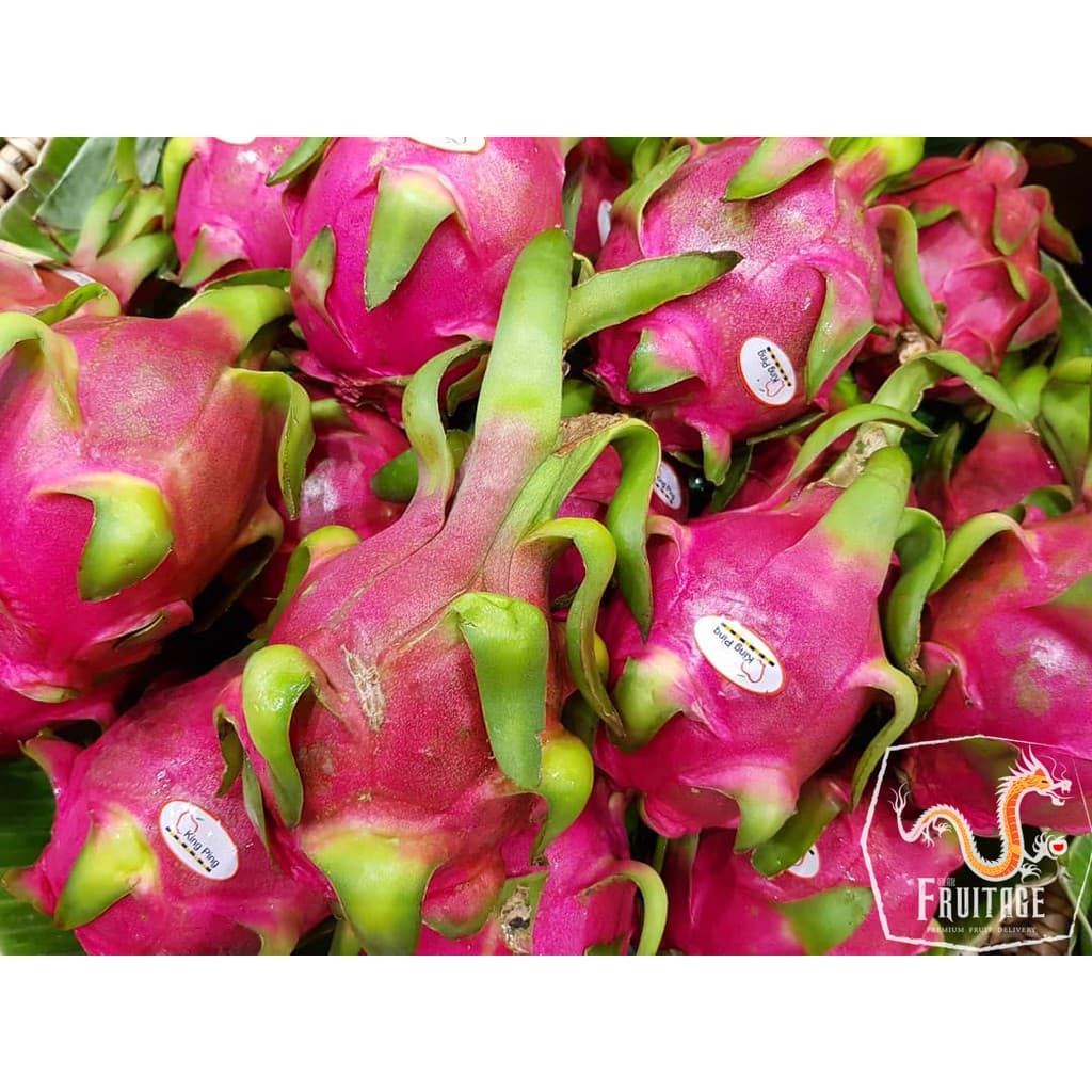แก้วมังกร นำเข้าจากเวียดนามแท้ DRAGON FRUIT ~ลดพิเศษ~ สดใหม่ แคลอรี่ต่ำ แก้วมังกรสีขาว รูปที่ 5