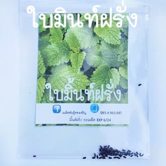 ใบมิ้นท์ฝรั่งถูกที่สุด10 บ.เมล็ดพันธุ์ใบมินท์ฝรั่ง 50 เมล็ดงอกง่ายโตไวพุ่มใหญ่หอมสดชื่น รูปที่ 2