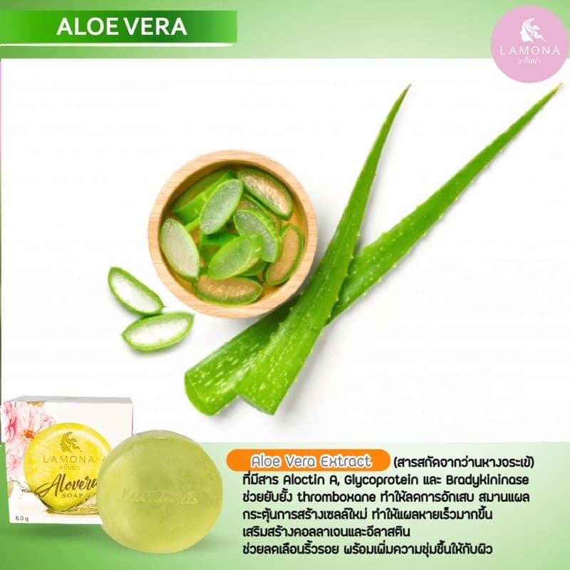 สบู่ Lamona ของแท้ % รูปที่ 7