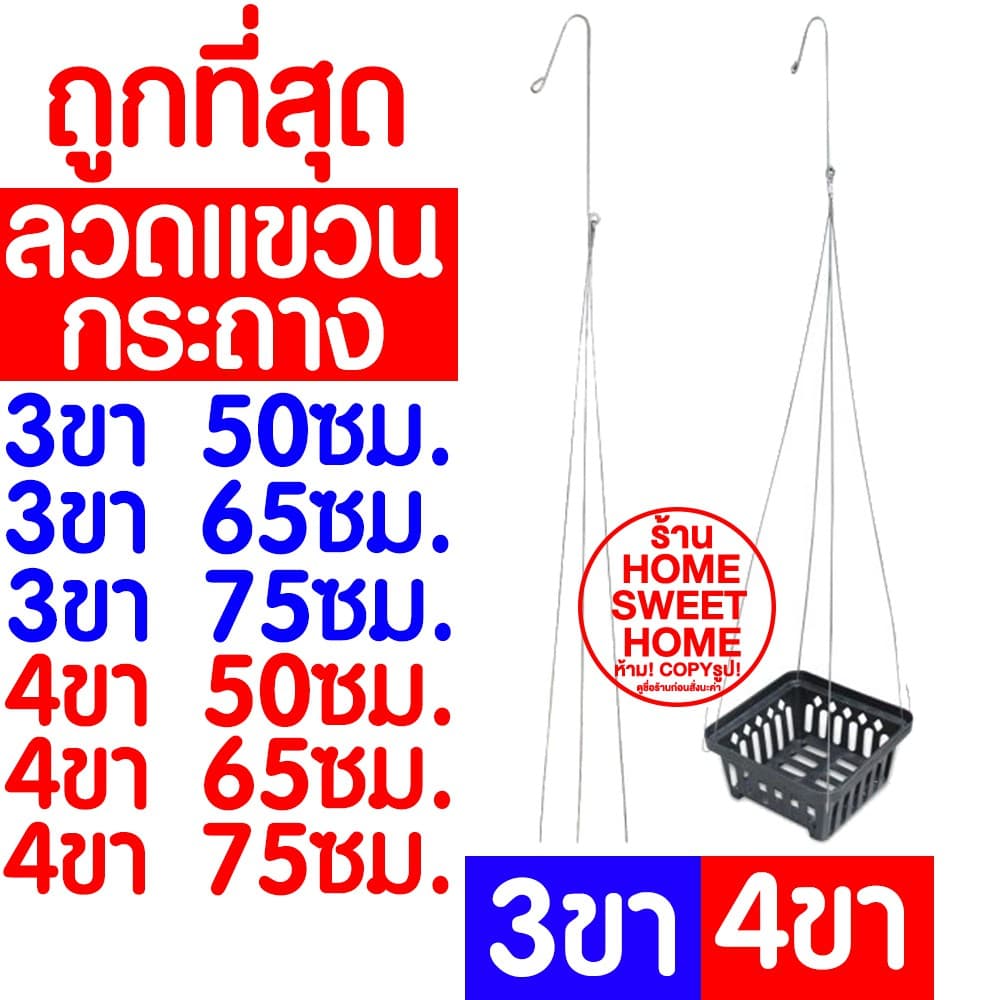 กระถางเพาะชำ กระถางต้นไม้ สีขาว ปลูกต้นไม้ ลวดแขวนกระถาง ลวดแขวนต้นไม้ เพาะปลูก กล้วยไม้ ต้นไม้ ฟองน้ำ 4/5.5/6/8 นิ้ว รูปที่ 2