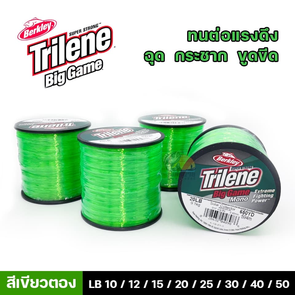 สายเอ็นเต็ม Berkley Trilene Big Game เอ็นเต็มไทลีน 3 สี เนื้อเอ็นเหนียวนุ่ม ไม่ตีเกลียว ทนแรงดึงปลา รูปที่ 5