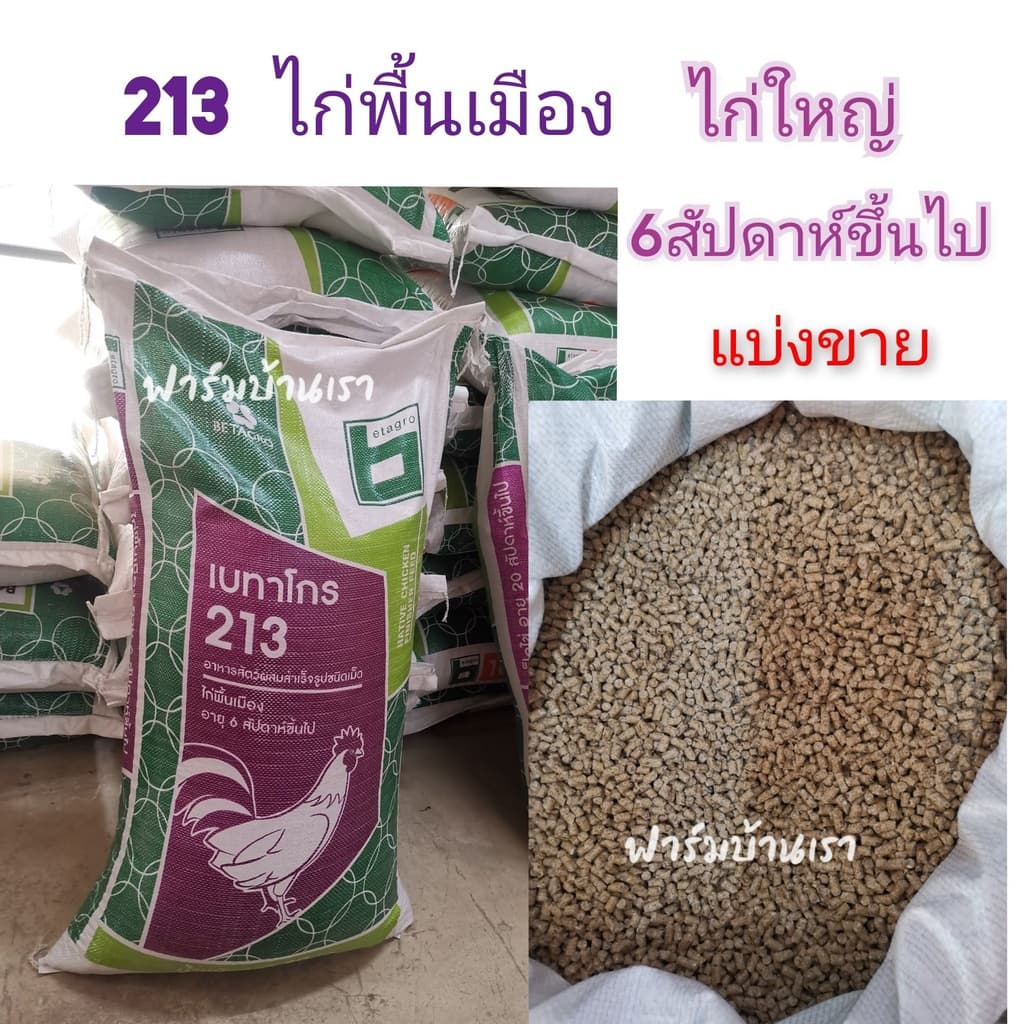 อาหารไก่ใหญ่ ไก่พื้นเมือง อาหารไก่บ้าน เบทาโกร 213 รูปที่ 1