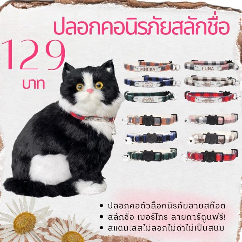 ปลอกคอแมว ลายสก๊อต ปลอกคอนิรภัยแมวสลักชื่อ เบอร์โทรฟรี รูปที่ 2
