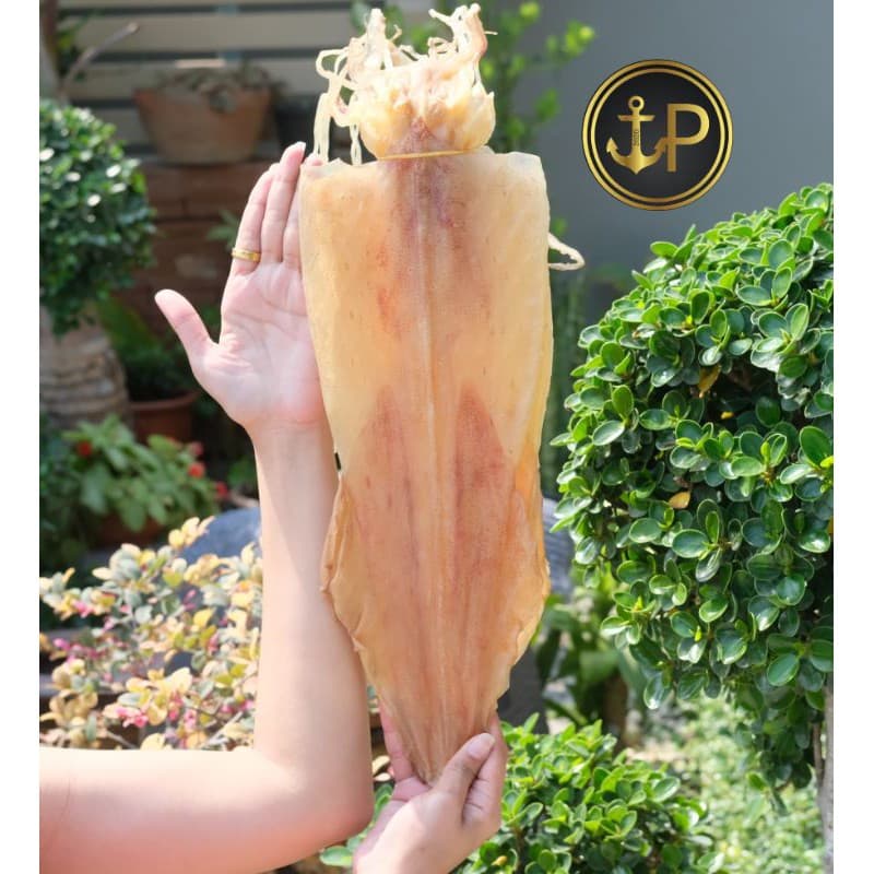 หมึกผ่าศอกจัมโบ้ ตัวสวย ใหญ่พิเศษ สดใหม่ เนื้อหนาหวาน ส่งตรงจากทะเล รูปที่ 5