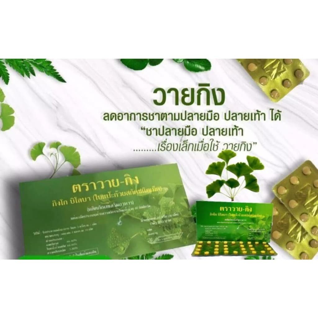 Y-GINK ใบแป๊ะก๊วยสกัด กิงโก บิโลบา ตราวาย-กิง 30 เม็ด รูปที่ 3