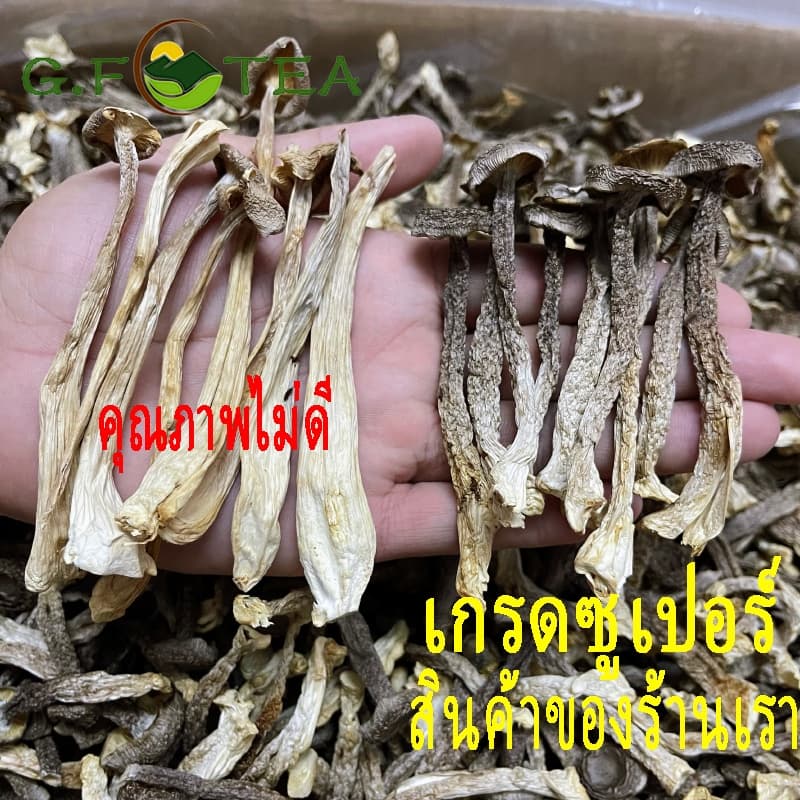 เห็ดกำมะหยี่แห้ง อบแห้ง100% เกรดซูเปอร์ 特级 鹿茸菇 鲜香味十足 รูปที่ 5