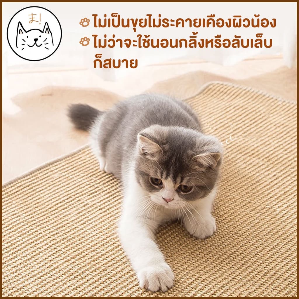 KUMA まพรมลับเล็บแมว S-XXL ที่ลับเล็บแมว เสื่อลับเล็บแมว แผ่นลับเล็บแมว กันข่วน ของเล่นแมว ที่นอนแมว กันข่วน Cat Mat รูปที่ 3
