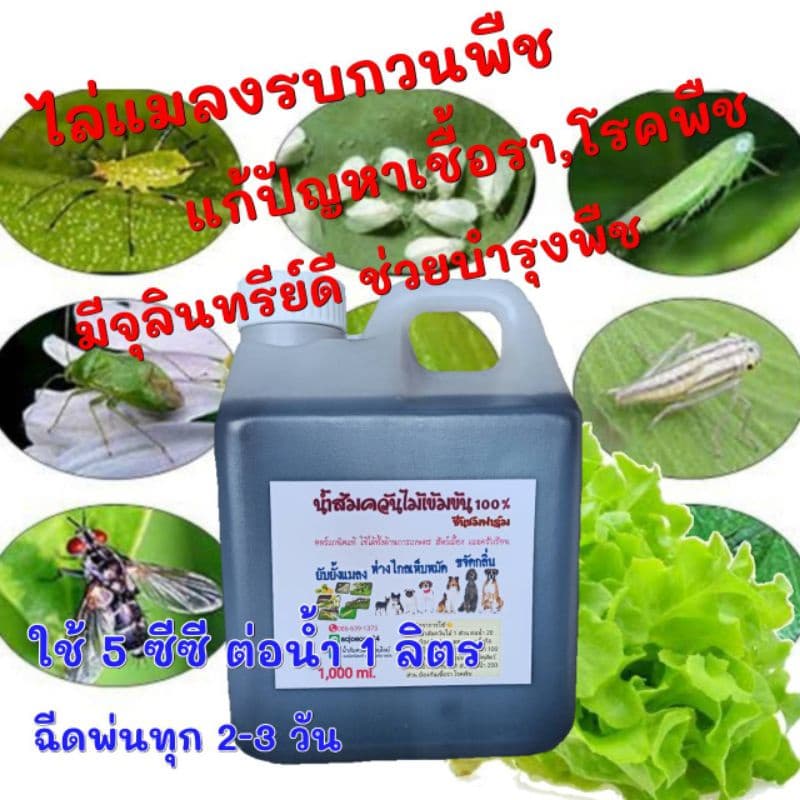 น้ำส้มควันไม้ หัวเชื้อน้ำส้มควันไม้ ออร์แกนิค เข้มข้นแท้100% เกรดA ขนาด1ลิตร รูปที่ 6