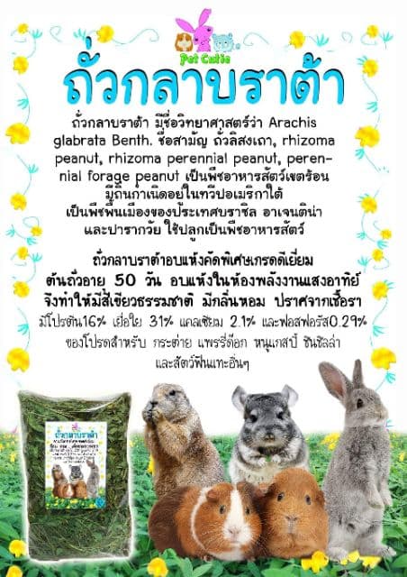 ถั่วกลาบาต้า 500 กรัม glabata 500 g by pet premium รูปที่ 4
