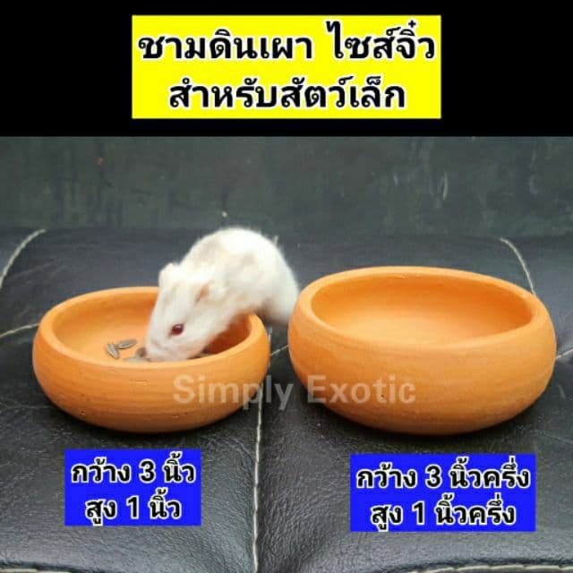 ถ้วยชามดินเผา ชามดินเผาใส่น้ำใส่อาหารสัตว์ รบกวนอ่านรายละเอียดก่อนสั่ง รูปที่ 4