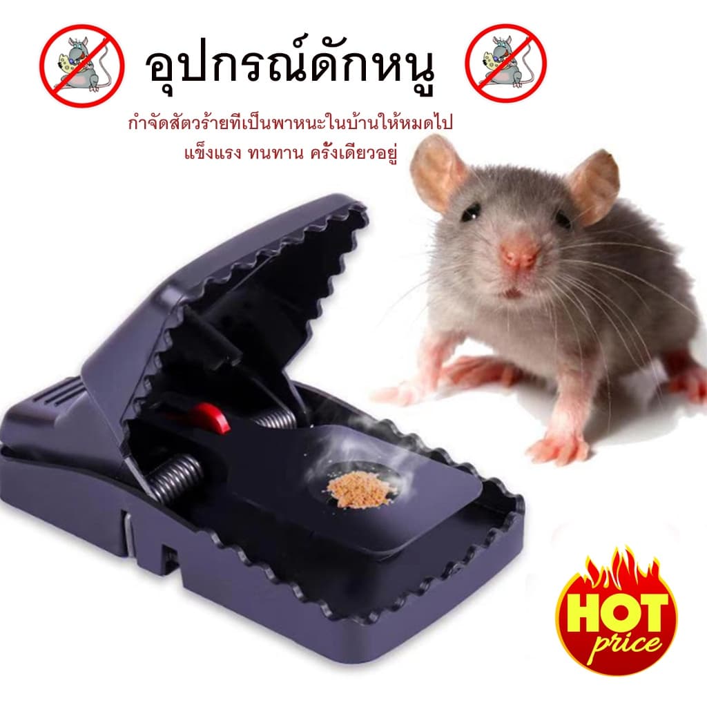 ที่ดักหนู กับดักหนู อุปกรณ์ดักหนู กับดักหนูบ้าน แบบสปริง เหยื่อดักหนู สารกำจัดหนู กาวดักหนู ยาเบื่อหนู รูปที่ 2