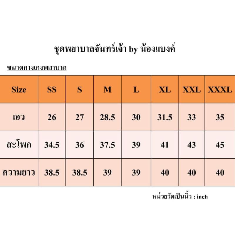 ชุดพยาบาลสำเร็จรูป กางเกงขากระบอก รูปที่ 8