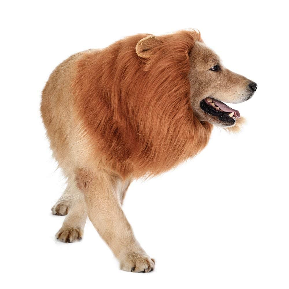 วิกผมสัตว์เลี้ยง วิกผมหมา ทรงแผงคอสิงโต สำหรับสุนัข Cat wig dog wig รูปที่ 2