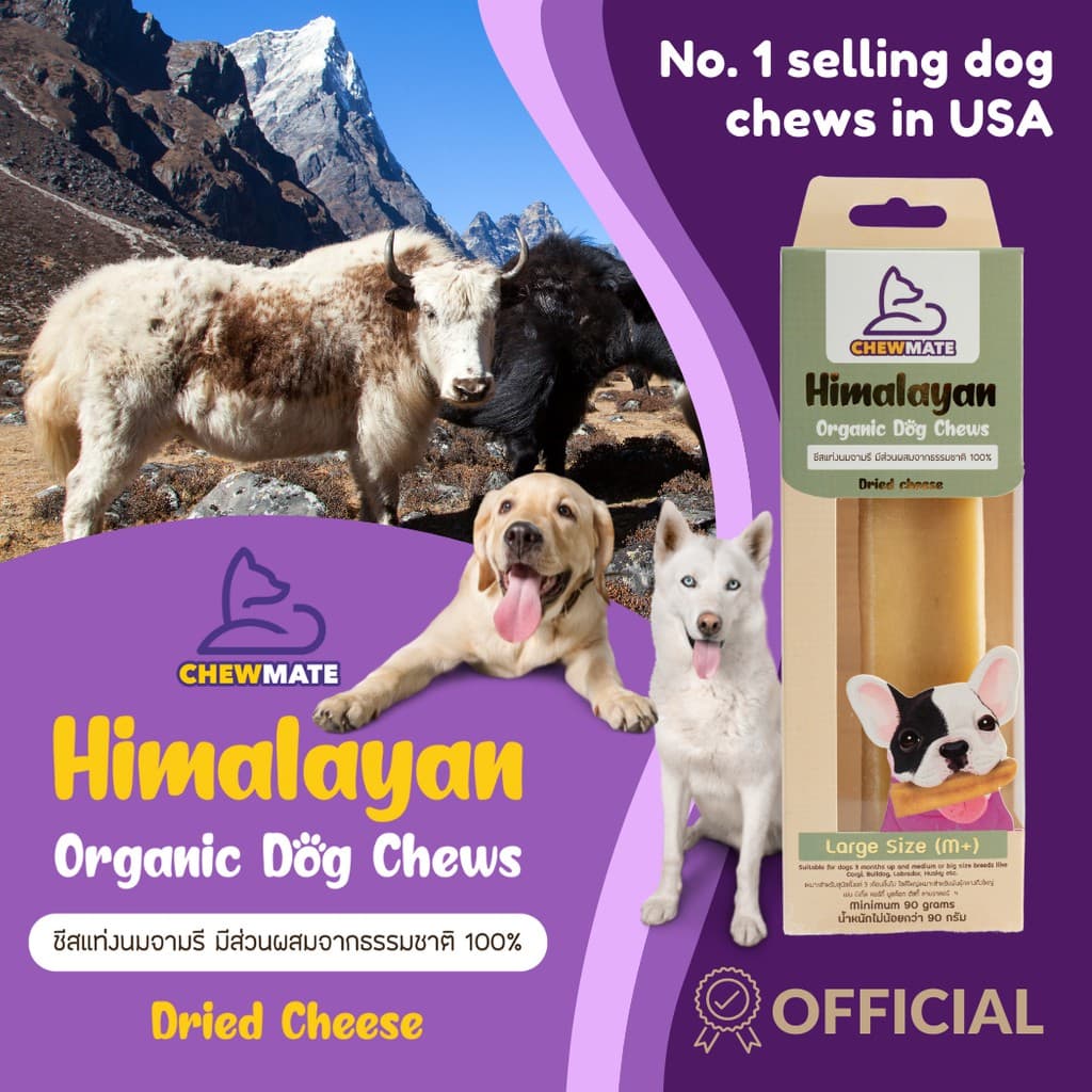 ชีสแท่งนมจามรี ไซส์ M+ /Himalayan Dog Chew Large Size รูปที่ 2