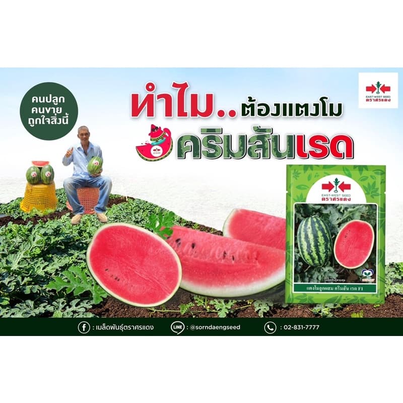 แตงโม คริมสันเรด ตราศรแดง 40กรัม รูปที่ 1