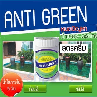 Anti Green ยากำจัด ตะไคร่น้ำเขียว สาหร่ายสีเขียวแกมน้ำเงิน ตู้ปลา บ่อปลา ขนาด 110g. รูปที่ 1