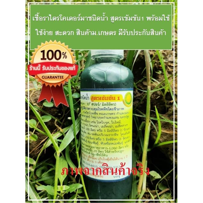 ไตรโคเดอร์มาชนิดน้ำ 250 มิลลิลิตร สูตรเข้มข้น1 ม.เกษตร แท้ ช่วยควบคุมและป้องกันโรคพืชที่เกิดจากเชื้อรา มีรับประกัน รูปที่ 1