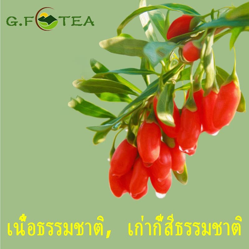 โกจิเบอร์รี่ เก๋ากี้ 宁夏枸杞 100g-500g มีวิตามินซีและสารอินทรีย์อื่น เม็ดใหญ่ เกรดA อบแห้งกินดิบได้ รูปที่ 6