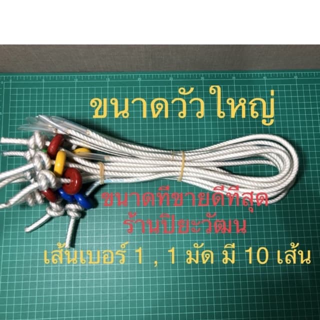 หวิงวัว เชือกจมูกวัว เบอร์ 1 ขนาดใหญ่ สนตะพายวัว หวินวัว เวียนวัว ขายเป็นมัด รูปที่ 1