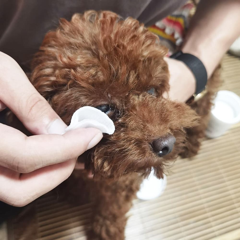 PetStern ผ้าเช็ดทำความสะอาดตา หู แบบอ่อนโยน สำหรับแมวและสุนัข ห่อละ 200 ชิ้น แผ่นเช็ดสุนัขและแมว รูปที่ 3